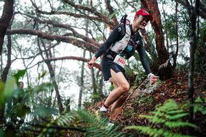 BIB: 
                            <button type="button" onclick="openModal(26296696)" class="btn btn-primary btn-sm float-right btn-popup" data-toggle="modal" data-target=".modal-high-quality">
                        <i class="fas fa-shopping-cart"></i> Add to Cart
                    </button>
                                            <button type="button" onclick="isThisMe(26296696, true)" class="btn btn-success btn-sm float-right btn-popup btn-isme hidden" data-toggle="tooltip" data-placement="bottom" title="นี่คือรูปของคุณใช่ไหม คลิกที่นี่เพื่อเอาเข้าอัลบั้ม">
                        <i class="fas fa-plus"></i> Add to album
                    </button>
                    <button type="button" onclick="isThisMe(26296696, false)" class="btn btn-warning btn-sm float-right btn-popup btn-isnotme hidden">
                        <i class="fas fa-ban"></i> Remove from album
                    </button>